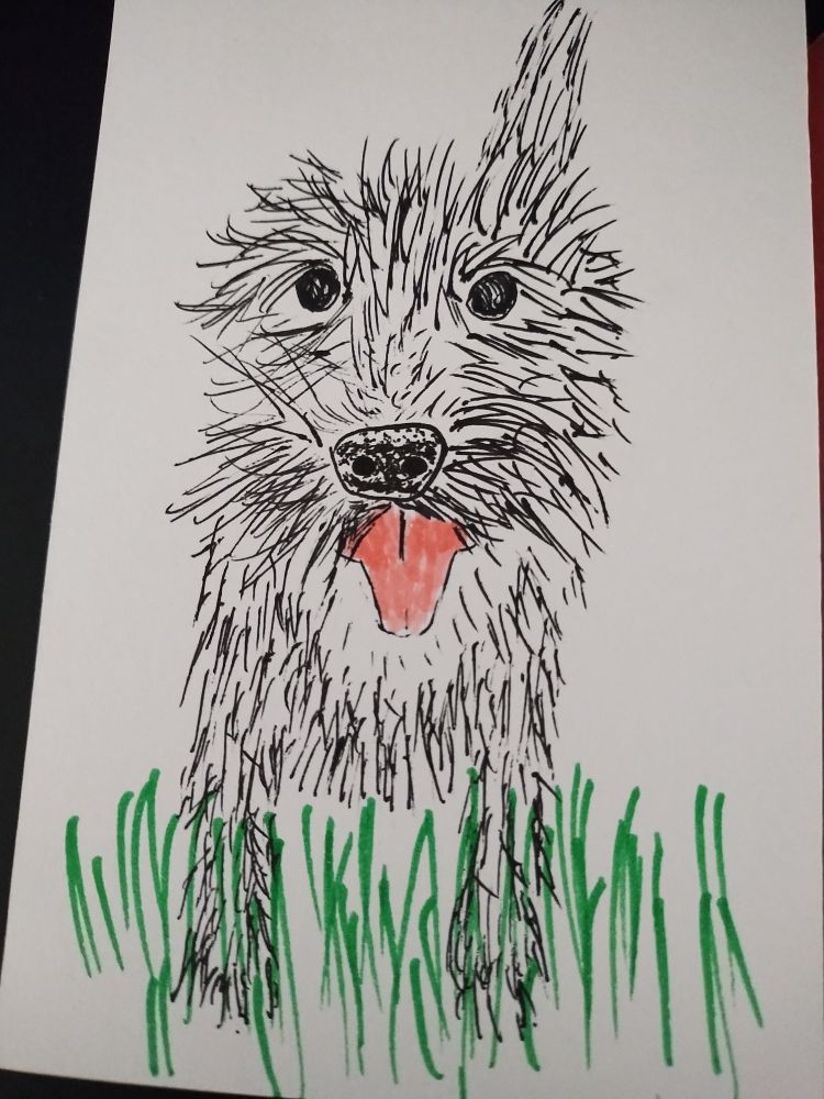 A pen and marker doodle of Thistle with her ear folded back and mouth open panting. The scrungle is outta control.