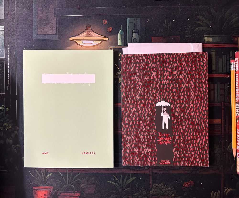 two slim poetry books side by side on a desk. Broadax by Amy Lawless has a minimalist mint green cover with a small white rectangle and the title in white text. Terror, Terrible, Terrific by Rebecca Wadlinger depicts a ghost-like cartoon figure with a white umbrella holding back red rain against a black background.