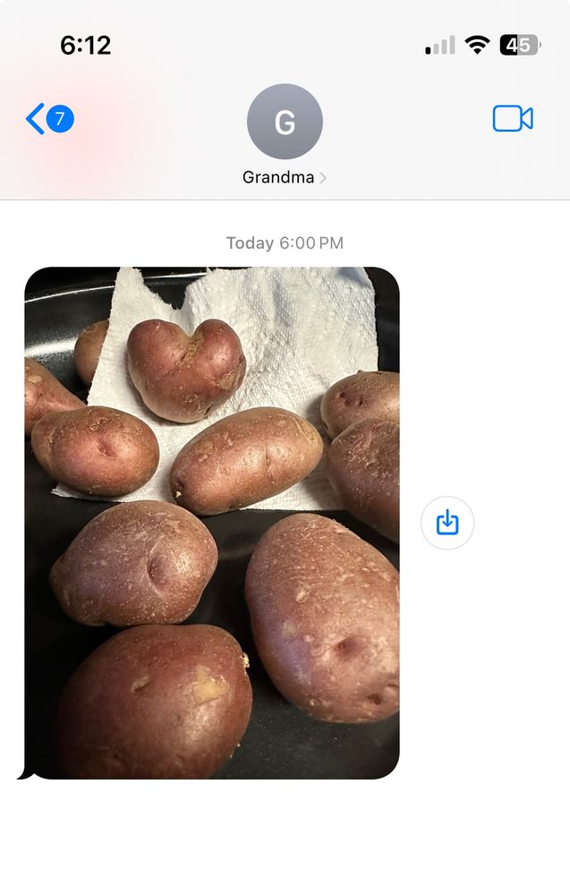 A screenshot of a text message from my grandma that is just a photo of potatoes. 