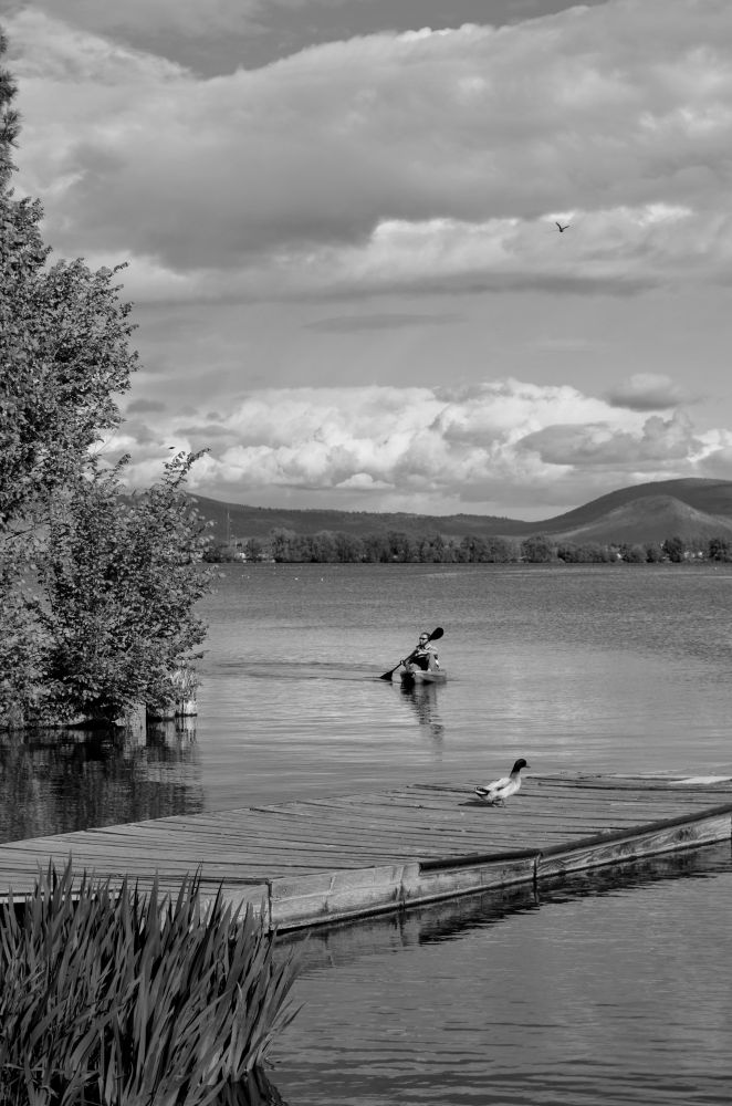 a lake showing a pier with a tree to the left and bush in front. there are mountains in the background. There is a man, my son, in a kayak coming ashore.