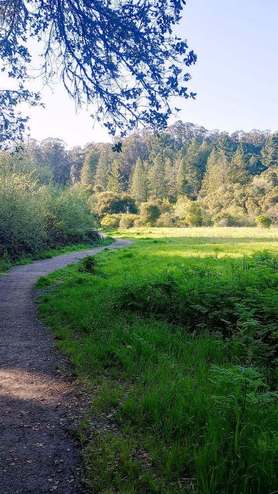 On a walking path in a park with grass fields to the right, bushes to the left and trees on a mountain in the background.
