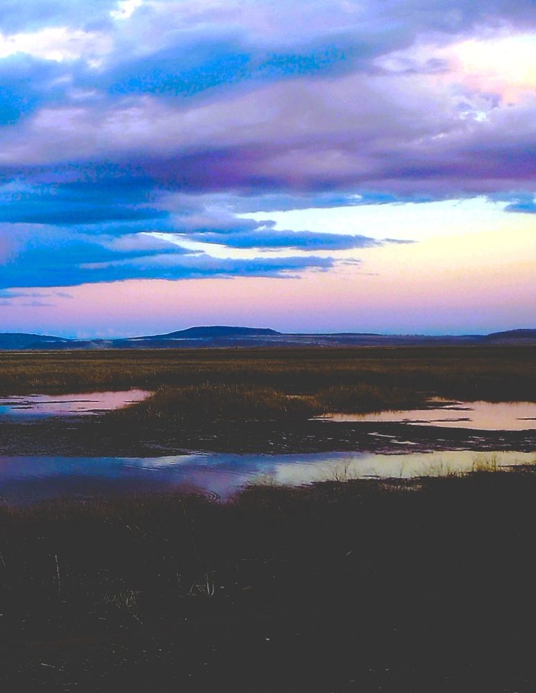 sunset in the wetlands. grassy ground and water with mountains in the distance.