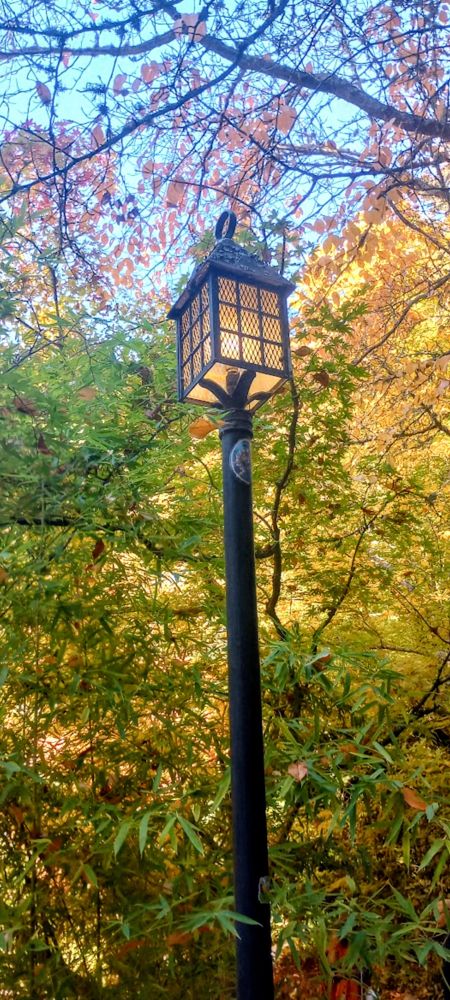 a lamp post in front of trees and bushes.