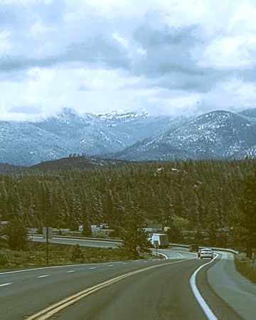 going down a curving highway with trees on both sides and in the front.
In the background is a mountain range.
