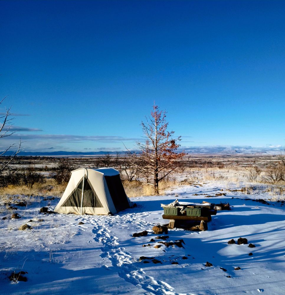 view of my campsite showing footprints leading to a tent with a single tree and supplies on the right. This is at the Lava Beds in Northern California which is mostly wide open and quite bare.