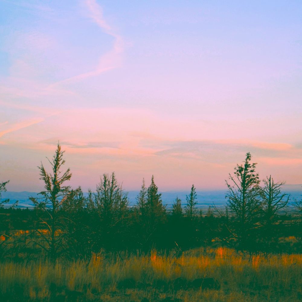sunrise at the lava beds in california. golden strip of light hits the foreground with trees across and blue and orange tinted sky.
