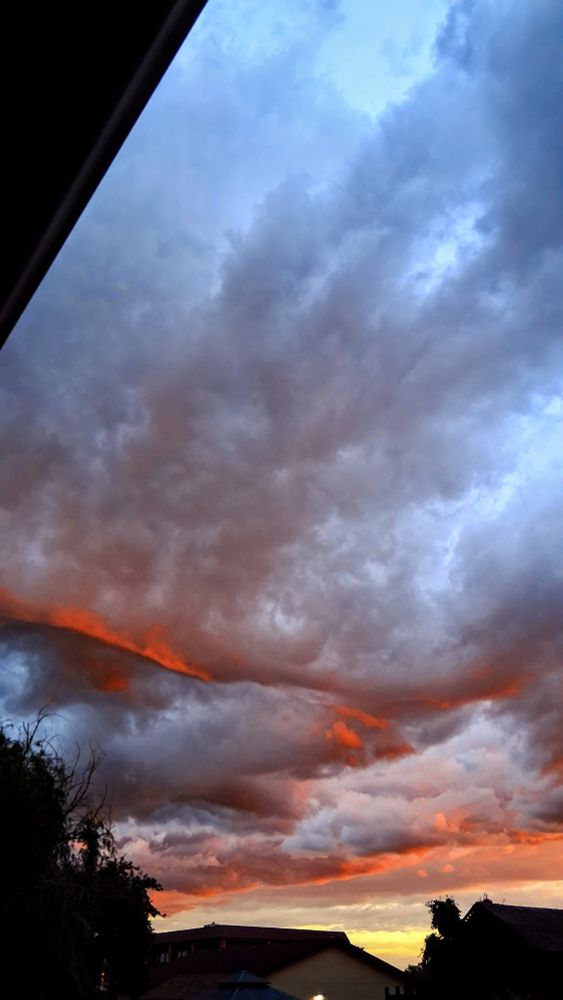 big gray clouds at sunset with streaks of orange and yellow above rooftops and a tree.
