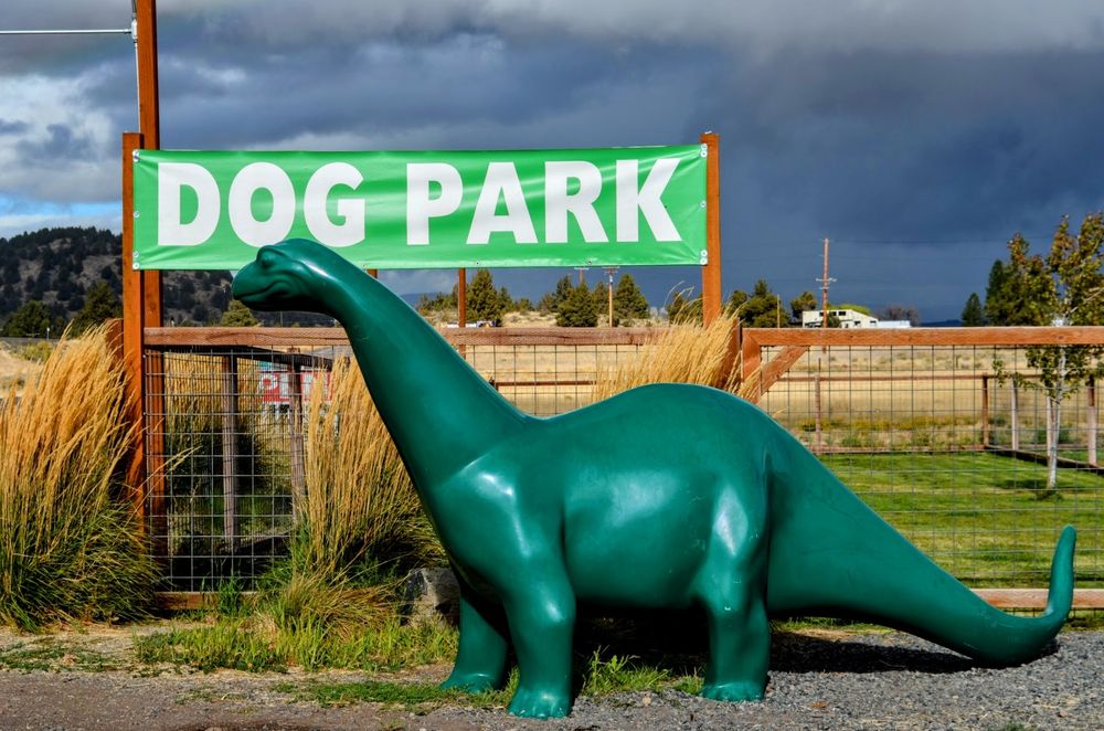 a large green dinosaur in front of a Dog Park sign. There is a wire fence behind it with bushes and trees and a small grass area.
