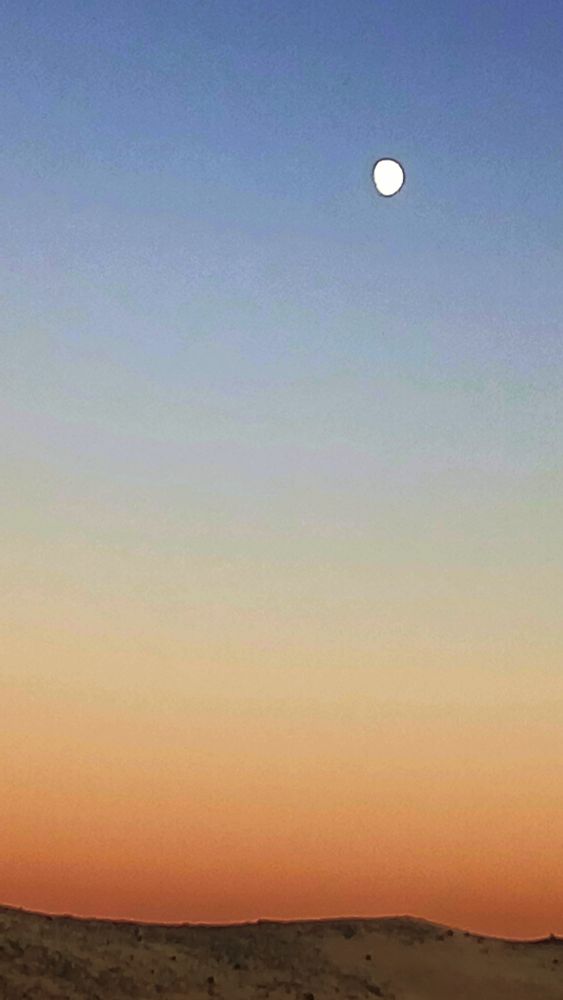 Moon coming out at sunset. 