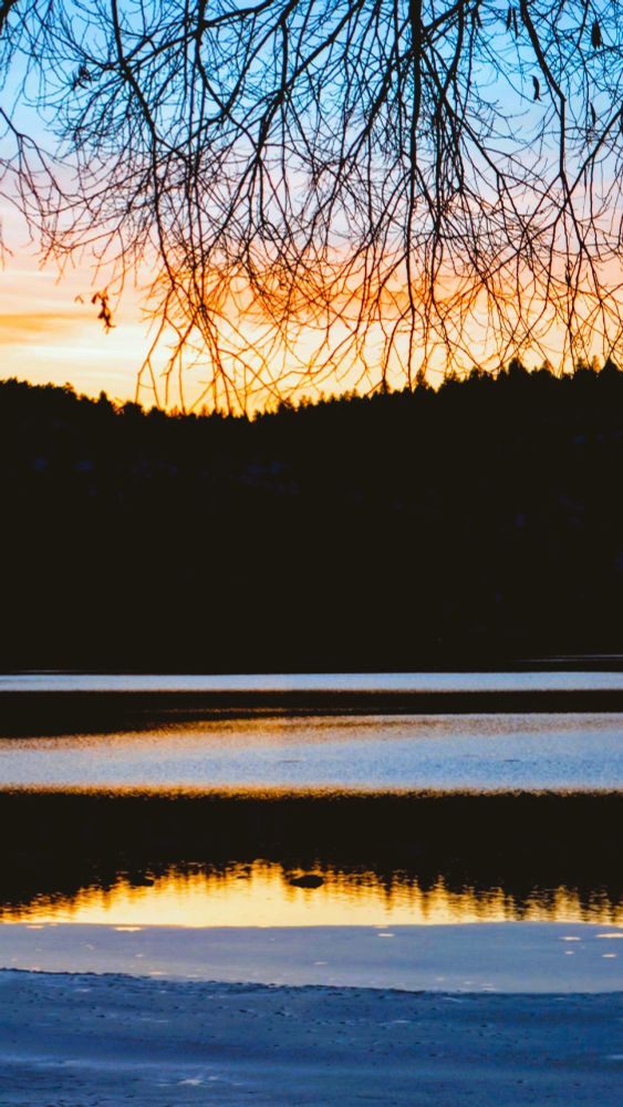 a sunset over a lake with reflections of the mountains. Tree branches are hanging from the top.