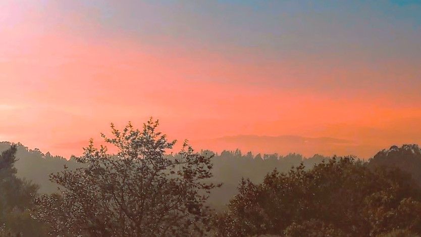 trees cover the bottom of the frame and a mountain covered with trees is in the distance. an orangish sunset fills the sky.