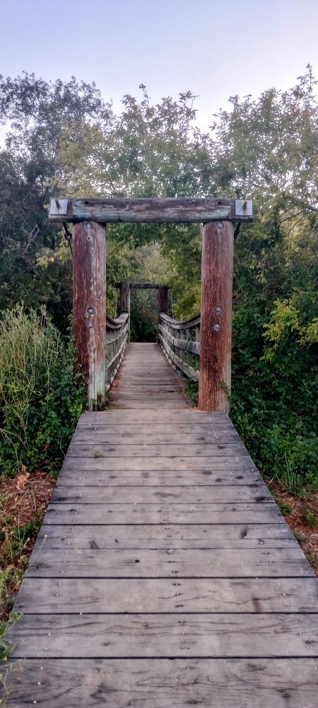 a bridge leading to white house pool in Point Reyes California.
there are bushes and trees on each side of the bridge.