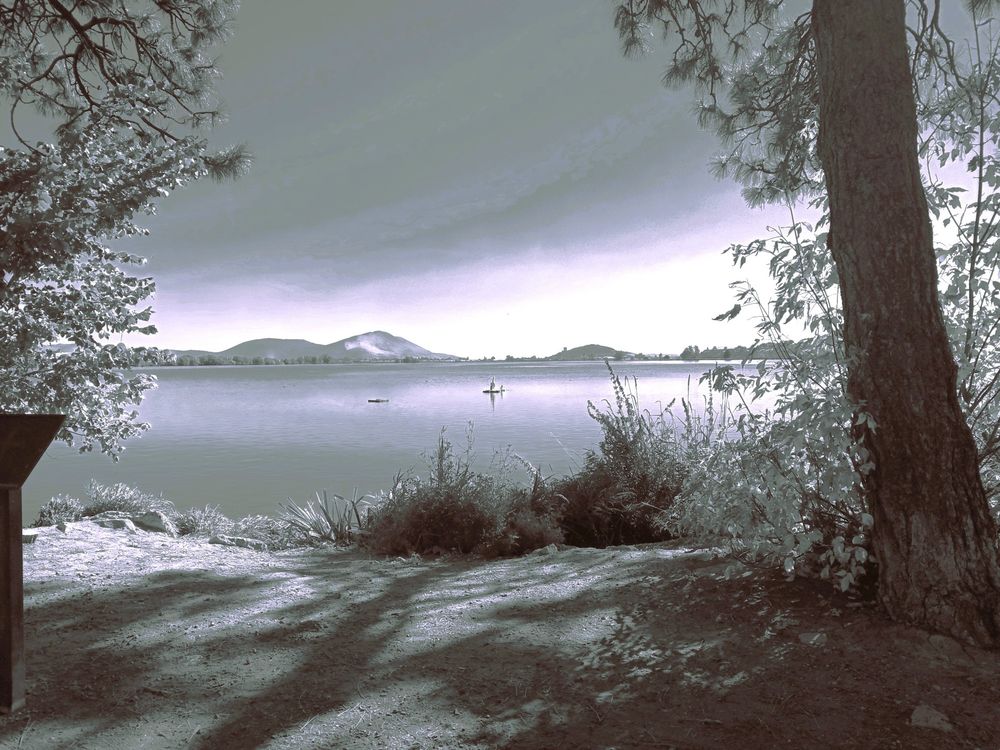 standing on the side of a lake looking between trees there is the lake with mountains in the background.
