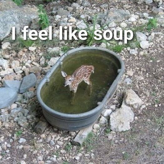 A baby deer (Fawn) sitting in a tub of water, and there is a caption saying ‘I feel like soup’