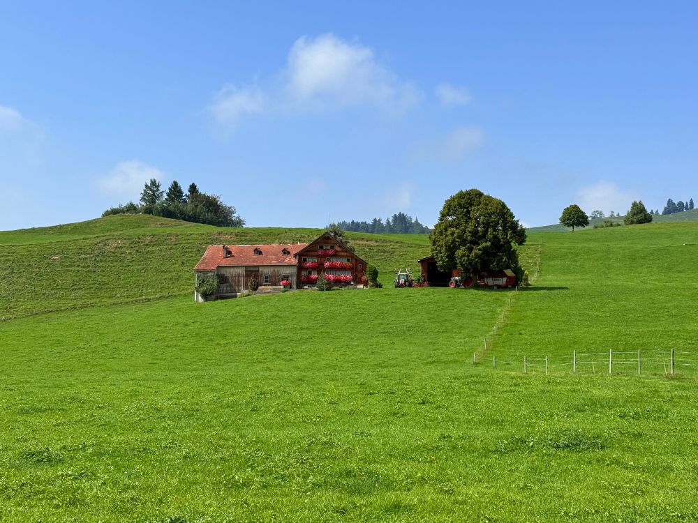 das gleiche haus in seiner umgebung, mit baum und wiesen