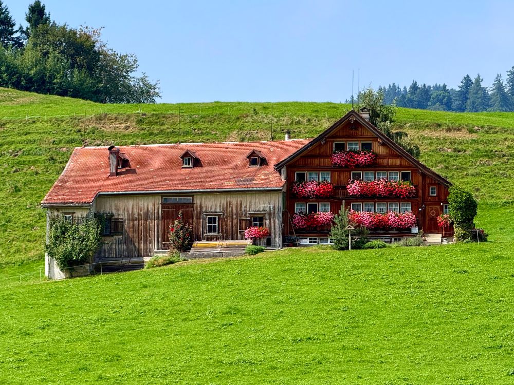 ein appenzeller bauernhaus mit vielen geranien vor den fenstern
