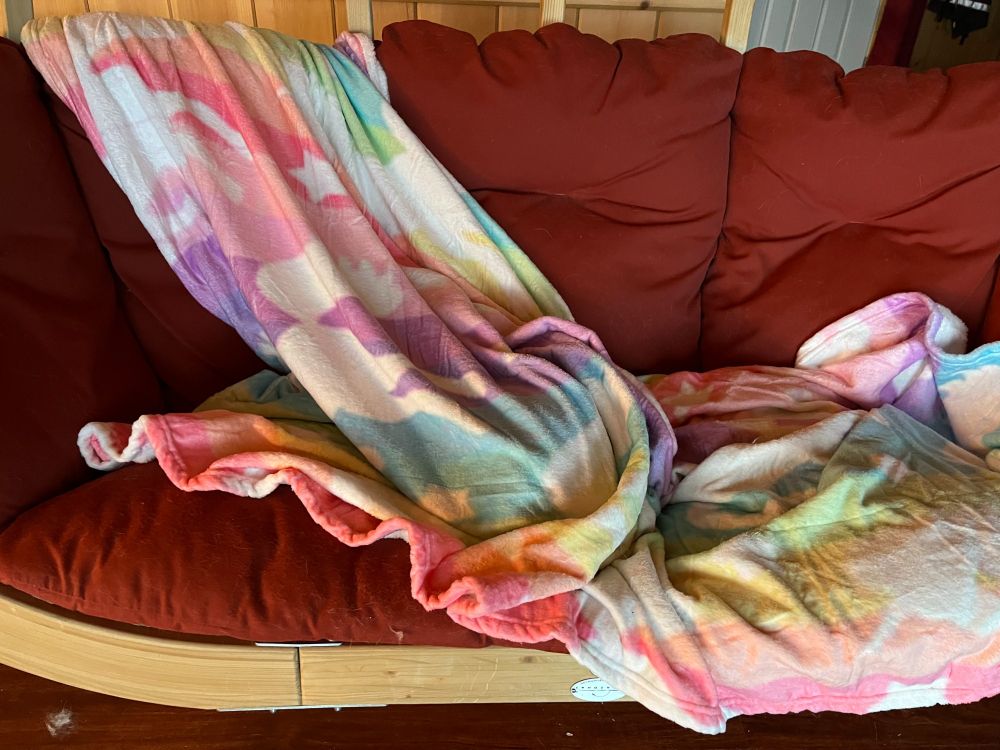 Picture of a cat ... completely hidden under a blanket.