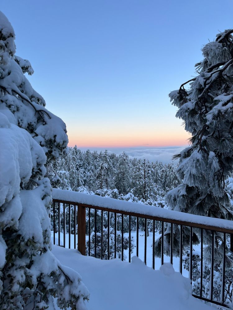 Snowy view at dawn