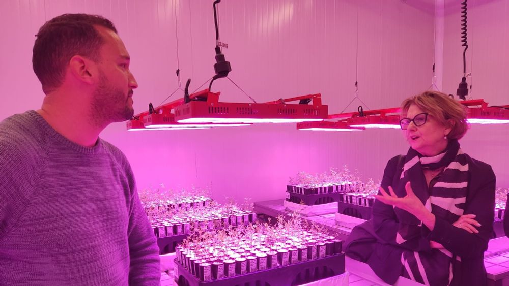 HLPE-FSN Steering Committee meeting – Visit to UM6P innovation spaces. Marie-Josèphe Amiot-Carlin discussing plant responses to environmental conditions and crop productivity within the University’s Campus in Benguerir.