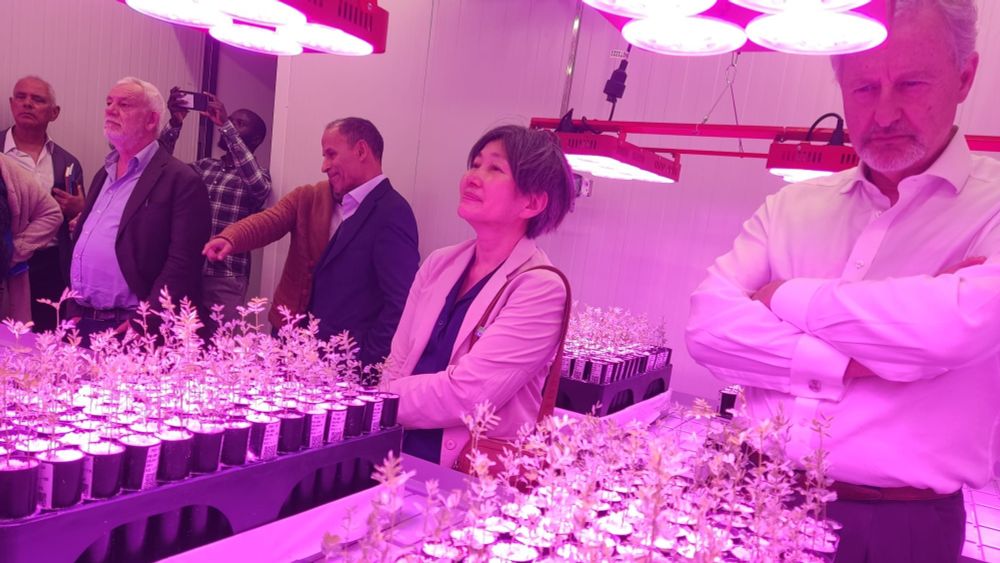 HLPE-FSN Steering Committee members visiting UM6P innovation spaces. Akiko Suwa-Eisenmann, Chairperson of the HLPE-FSN, and Patrick Webb. 