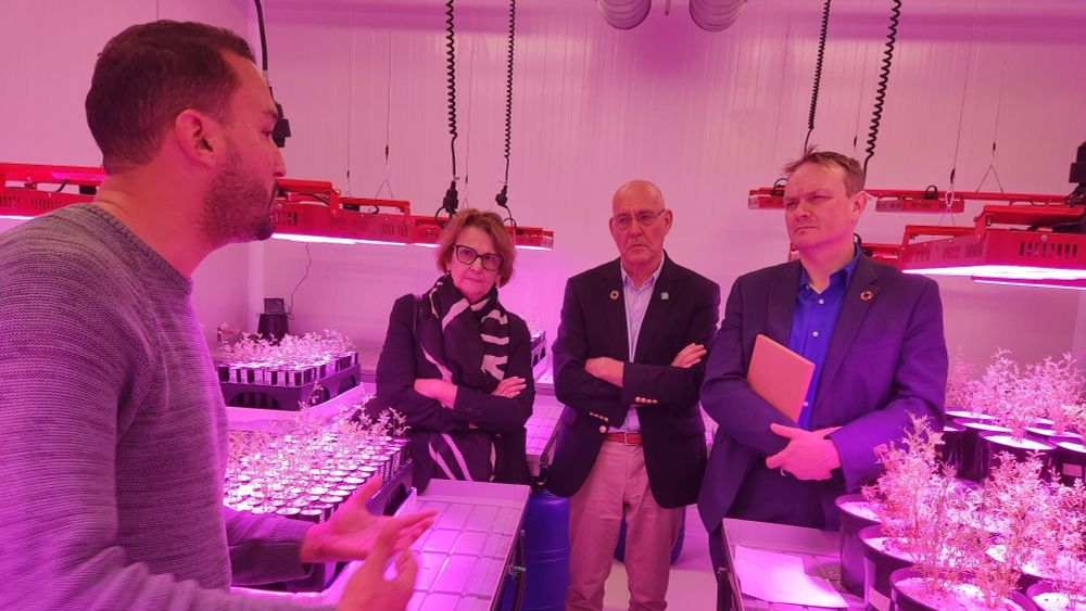 HLPE-FSN Steering Committee members visiting  the UM6P PHENO-MA platform for plant phenotyping.