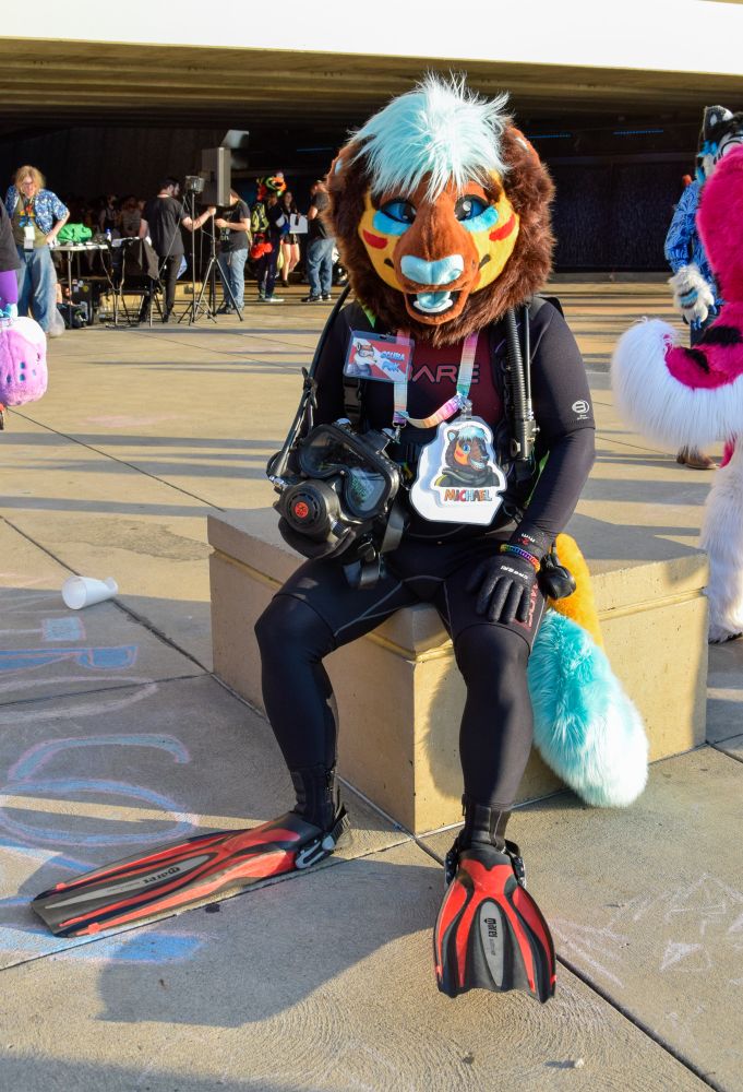 A photo of Michael, a lion fursuit with dive gear. He's sitting on a large concrete block while wearing a wetsuit, gloves and red fins on his feet. He's carrying a full face mask in his hand.