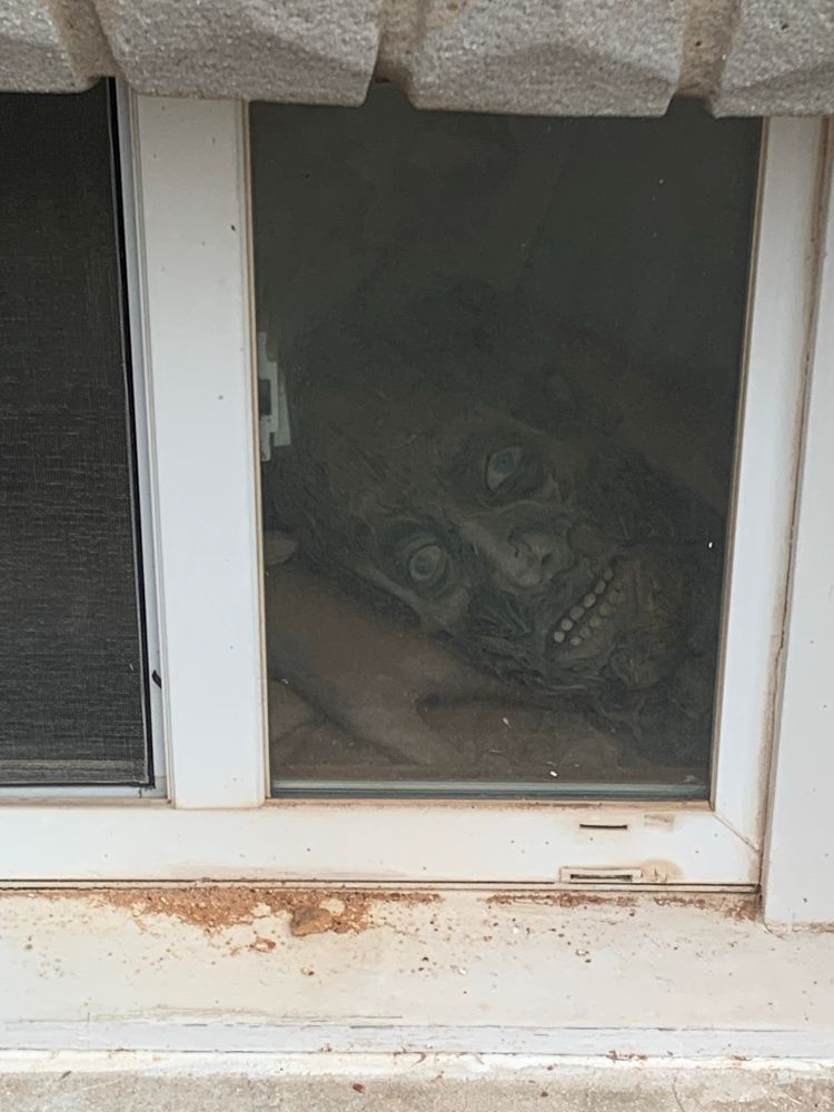 A fake zombie head with blue eyes and white teeth sitting in a window.