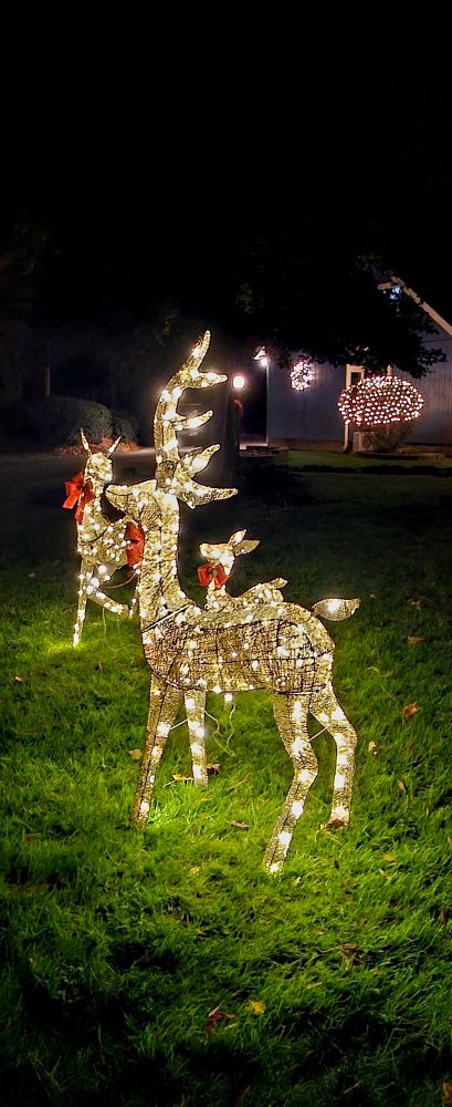 Tacky & festive fake deer lit up in gold glitter and cheap incandescent lights