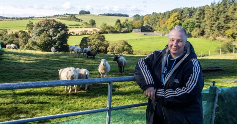 Vulnerable woman caring for 100 rescue animals booted off land by council