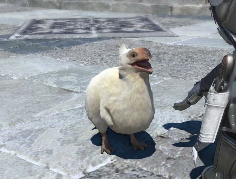 ROUND!!!! (Seikret hatchling minion)