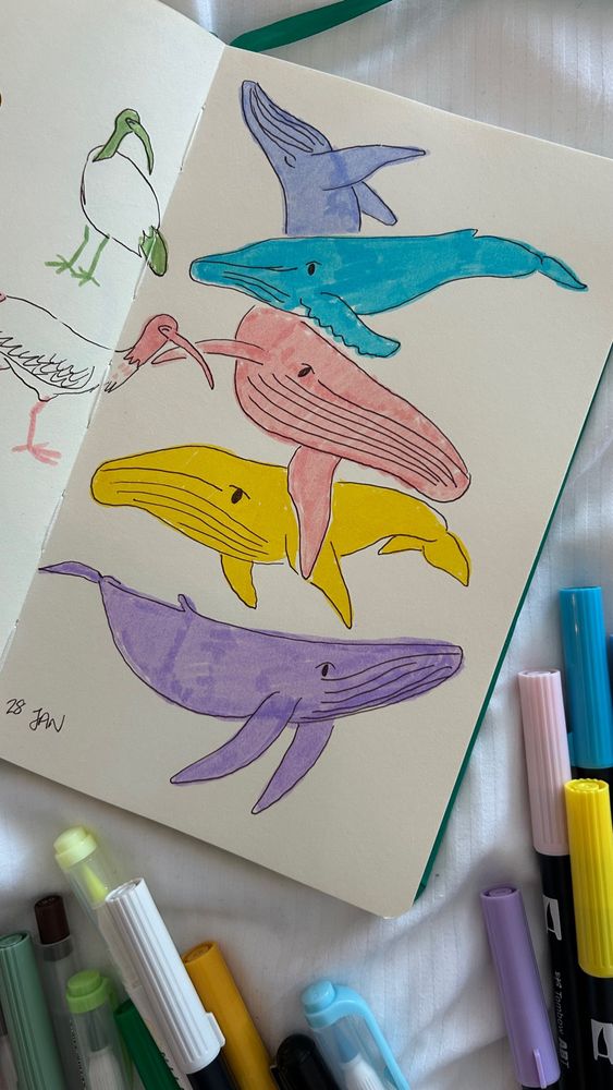 An open sketchbook with sketches of humpback whales in pastel colours