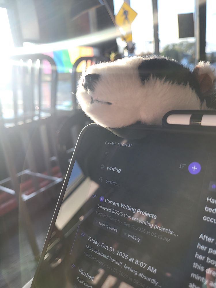 Plush badger keeping look over tablet. Framed by morning sun coming in from coffee shop window.