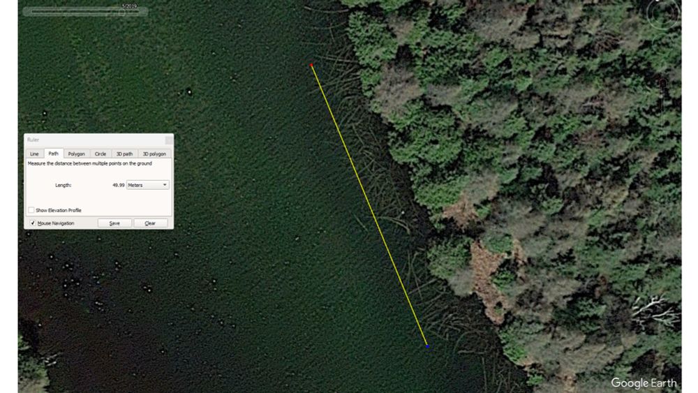 Overhead image of a densely forested lake shoreline. The water is very clear, so logs can be clearly seen down in the water. The lake is shallow and narrow. The forest shows a lot of conifer canopies that are brown (the image is from early spring) but the canopies are all green in summer imagery from later years. This indicates a lot of the trees are tamaracks. Many of the logs are often curved, from growing out over the water indicating that there are also a lot of northern white cedar.