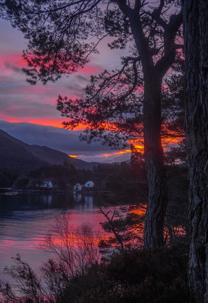 Read sunrise over a still loch.