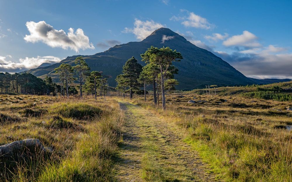 A grassy track towards mountains.