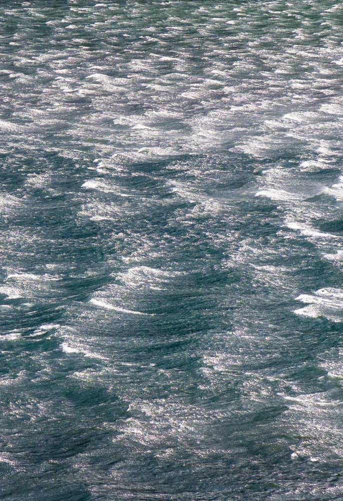 White horse waves.