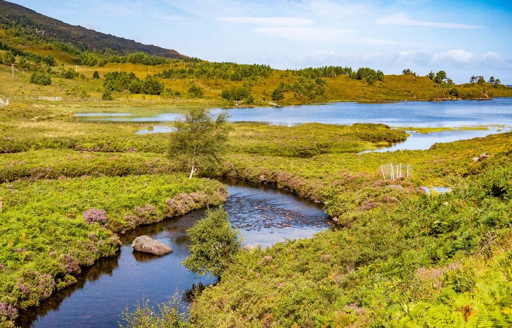A river makes its way through a green landscape.