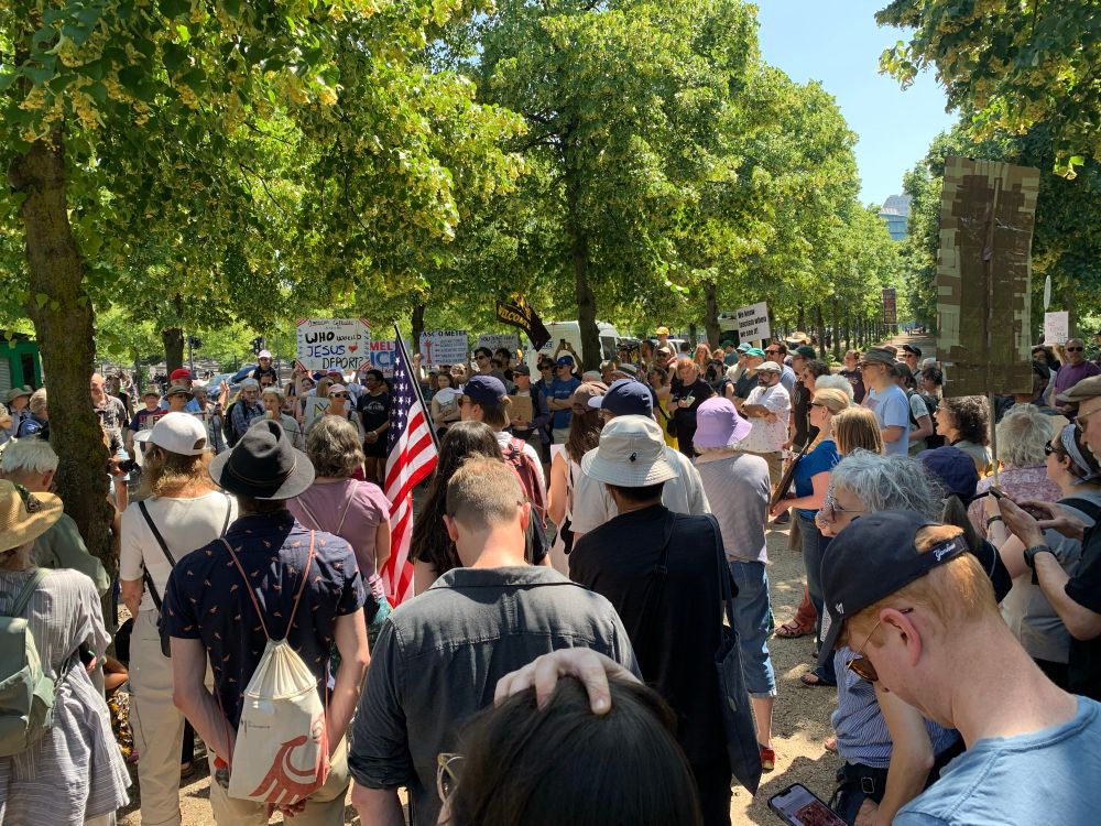 A few hundred Americans of all ages standing in dappled sun with flags and signs