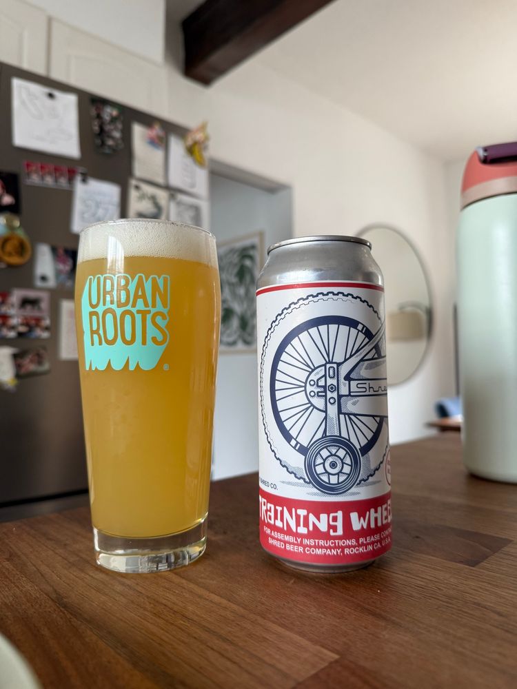 Glass of a hazy IPA beer next to a 16oz can on a counter. Beer can label is of the back wheel of a bike with training wheels. 