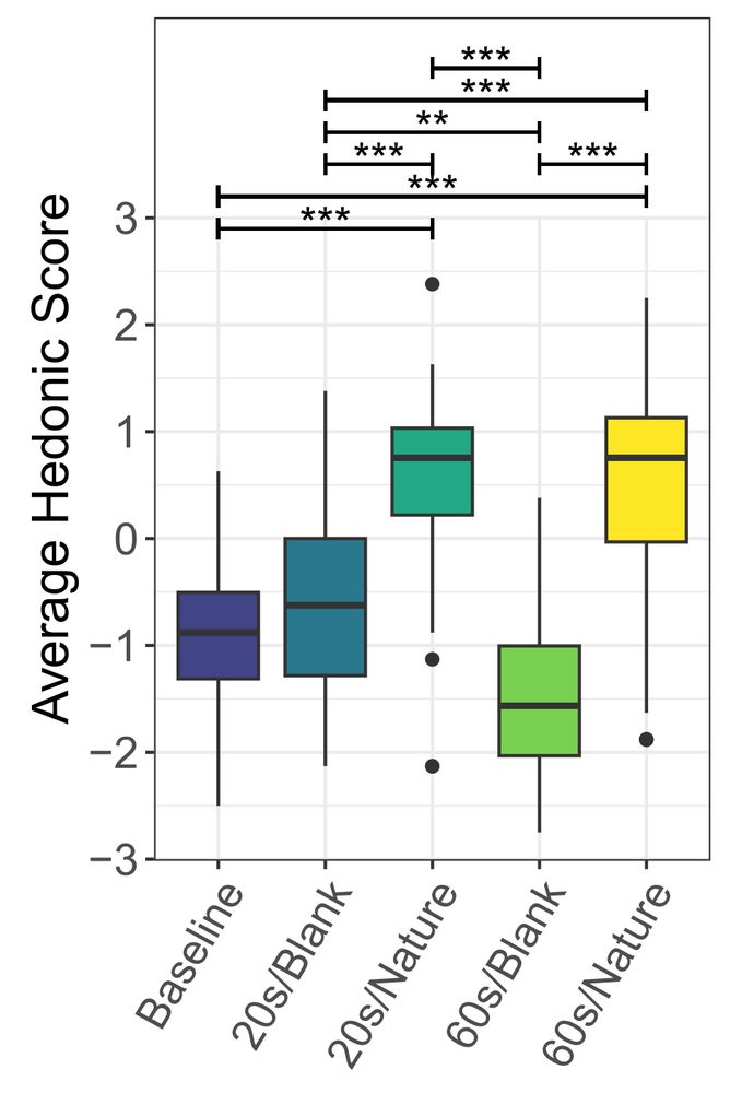 Box plot depicting the subjective questionnaire results for the Hedonic sub-scale of the User Experience Questionnaire.