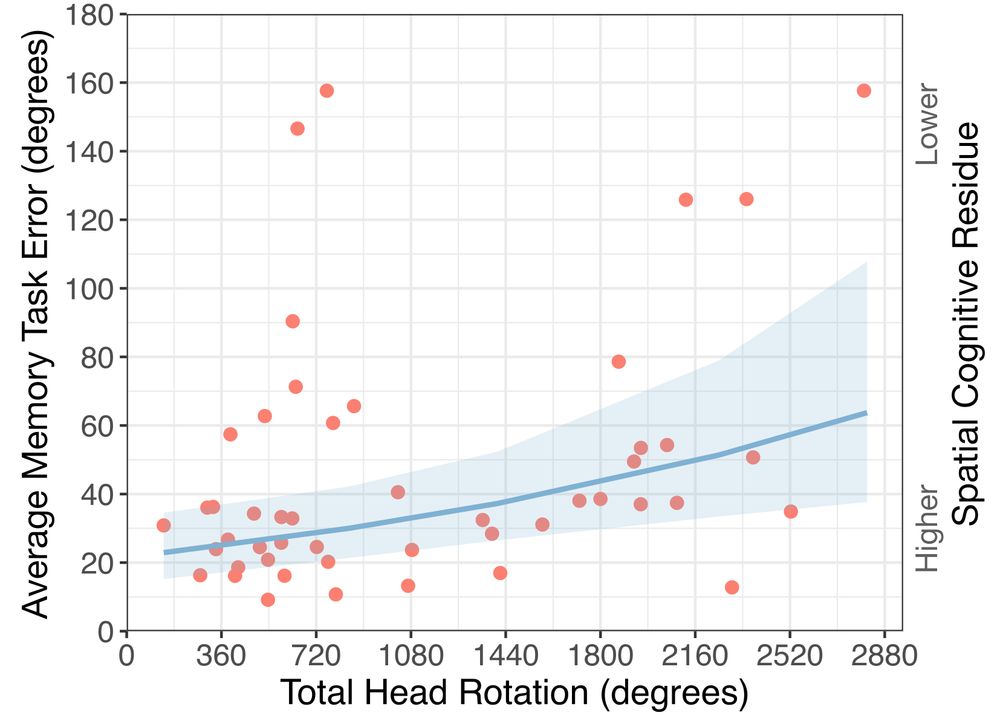 Scatterplot displaying the positive relationship between average angular Memory Task Error and Total Head Rotation for the Nature transitions. The blue line shows the estimated effects of the Head Rotation predictor for the Generalized Linear Mixed Model (GLMM) fitted to our data, with the shaded region representing the 95% confidence interval. The right axis provides a qualitative indication of the inverse relationship between the average angular Memory Task Error and spatial cognitive residue.