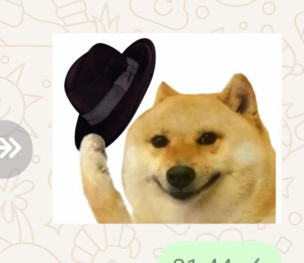 Comment image
