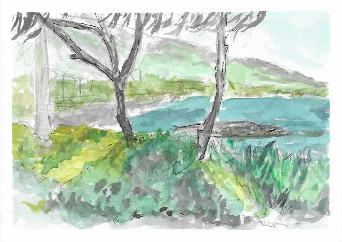 a watercolor sketch of trees and foliage with a bay and mountains receding into the background
