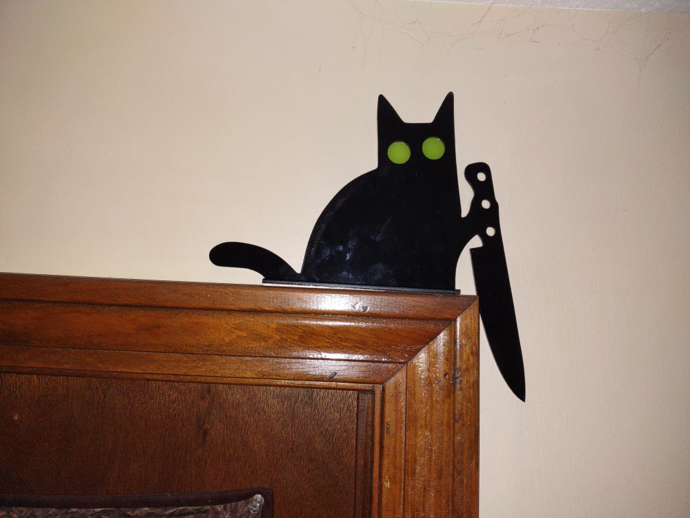 Murray the Murder Cat