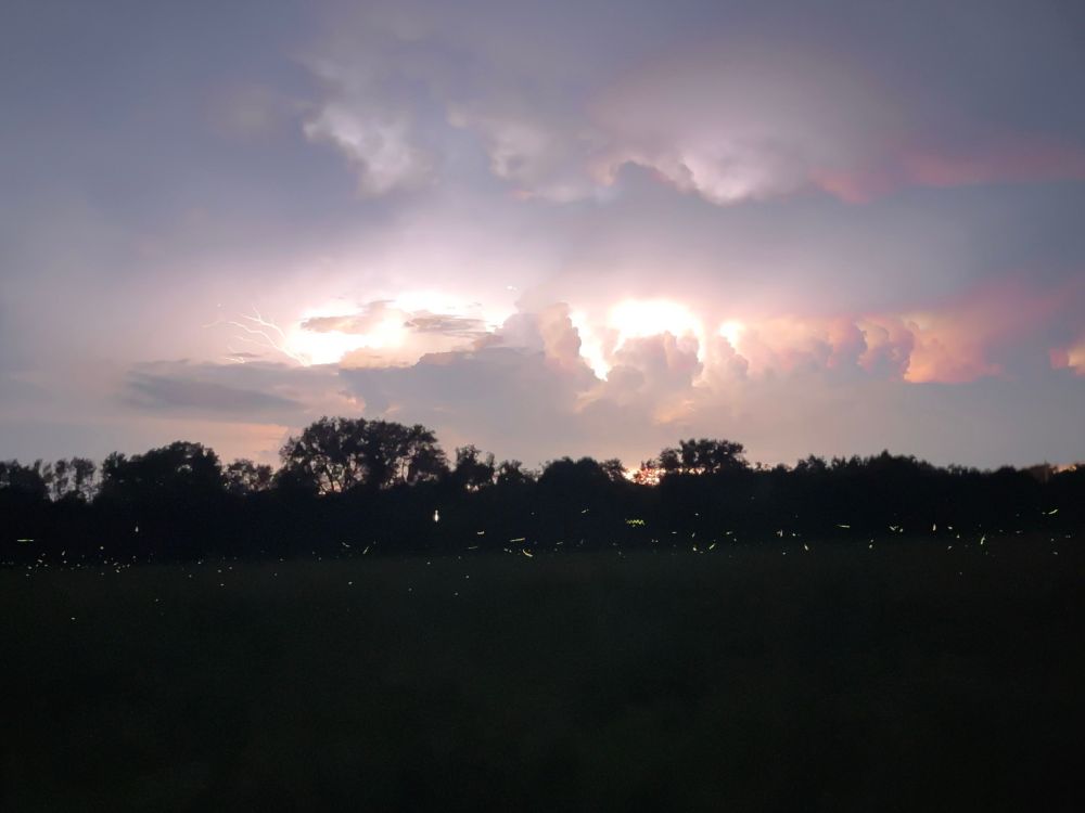 Photo of park near dusk. Ground and tree line are dark with dots and streaks of yellow from lightning bugs. Sky is mostly grey with cloud cover. Bright white light coming from lighting in the center with small lightning bolts on the left. Some orange/red on the right.