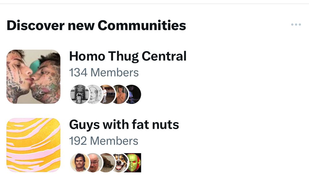 Screenshot from X that says discover new communities with two of Elons idiotic groups