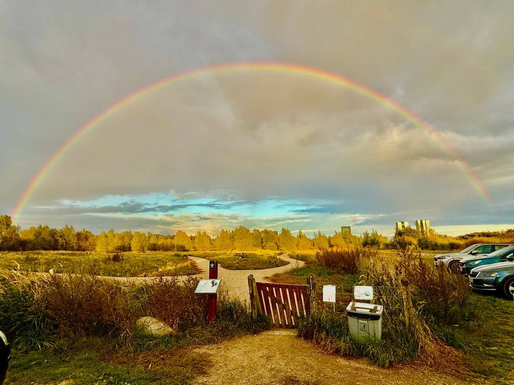 The picture shows a full rainbow on the sky above Copenhagen, Denmark, september 30, 2025. 