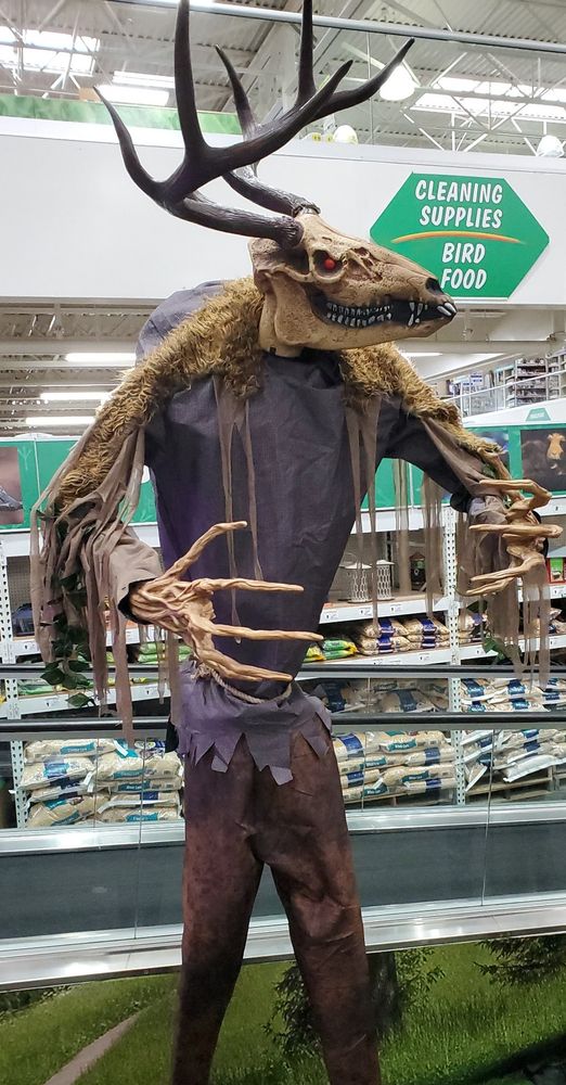 Oversized scarecrow figure with a steer skull head and elk antlers with clutching human skeleton hands offered for sale as a Halloween decoration.