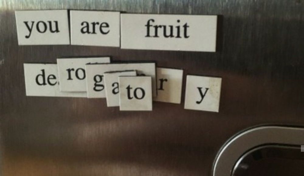 fridge magnets spelling out you are fruit derogatory