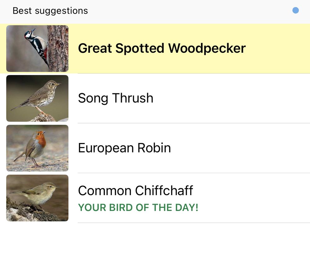 Merlin bird app Best suggestions
Great Spotted Woodpecker
Song Thrush
European Robin
Common Chiffchaff
YOUR BIRD OF THE DAY!